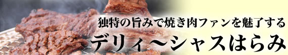 fB`VX͂