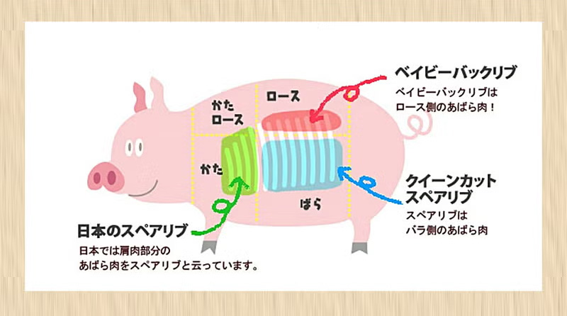 バックリブ、スペアリブ部位説明