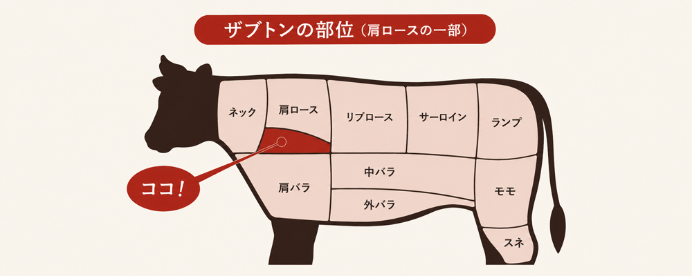 ザブトンの部位説明