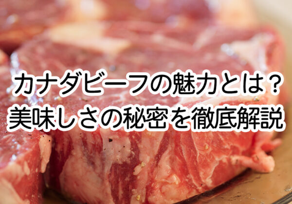article_img