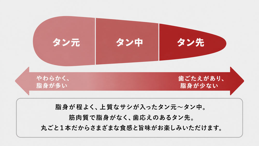 タン部位説明