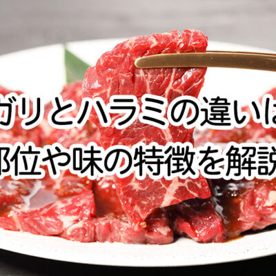 サガリとハラミの違い