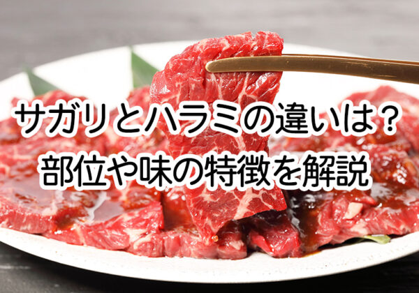 サガリとハラミの違い