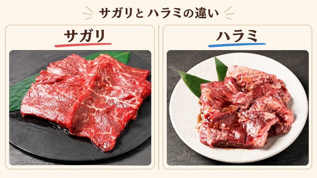 ハラミとサガリの違いイメージ